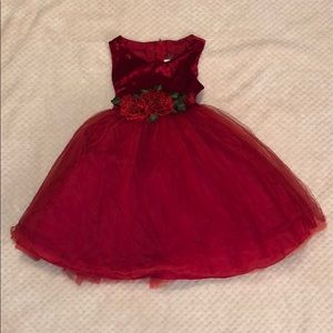 Sleeveless Red Velvet Floral Rose Tulle Dress